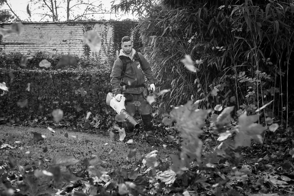 Ramassage de feuilles en zéro émission. Design extérieur, portrait noir et blanc en lumière naturelle. Namur, novembre 2018. Aurore Delsoir, photographe d'entreprise. reportage d'entreprise