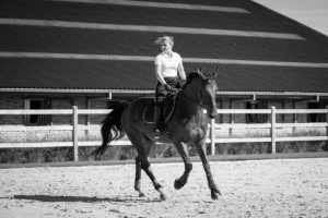 Marie et le dressage du cheval Chronos 18-9-2018 Aurore Delsoir Photographe d'entreprise en Bruxelles et en Wallonie
