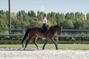 Marie et le dressage du cheval Chronos 18-9-2018 Aurore Delsoir Photographe d'entreprise en Bruxelles et en Wallonie