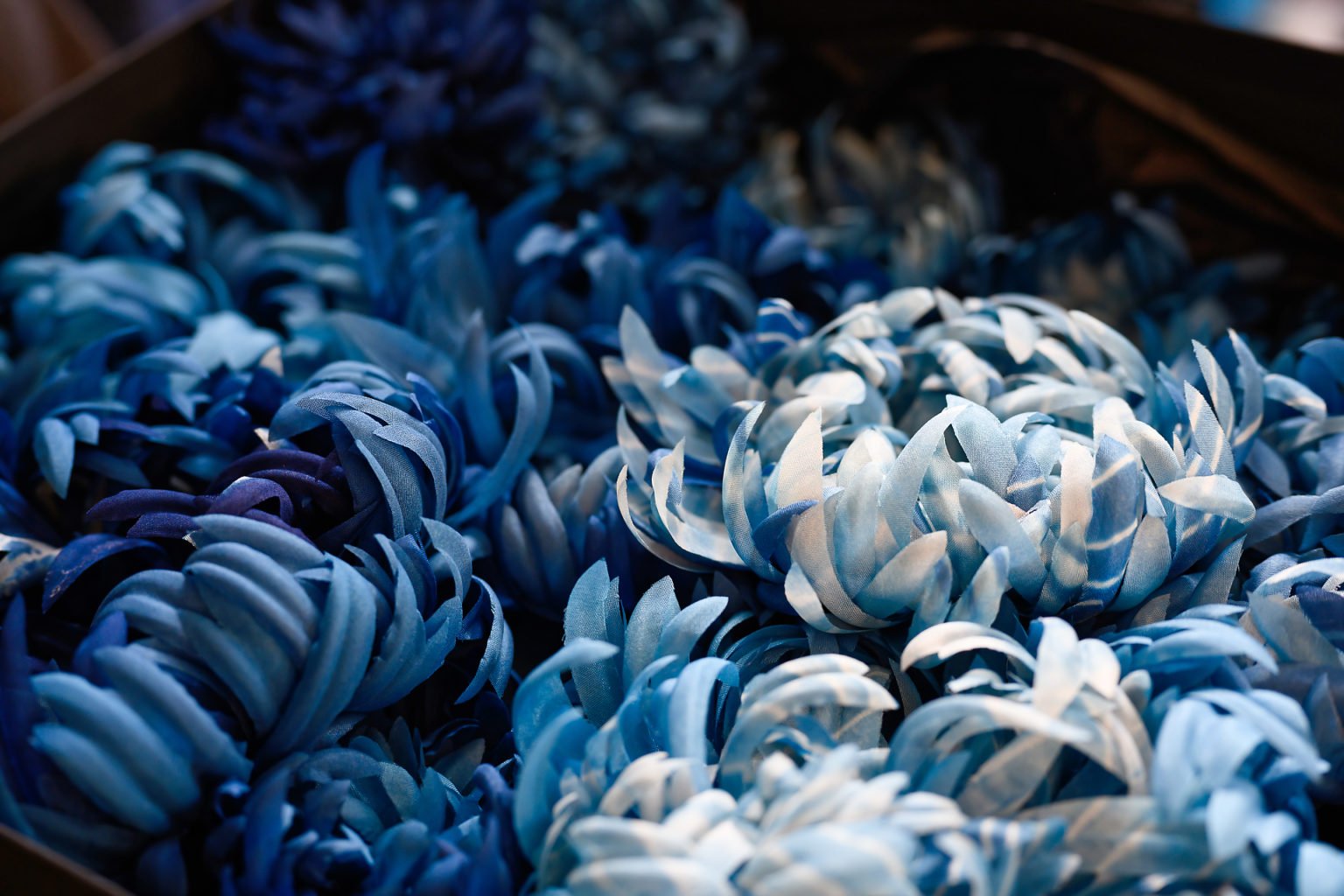 Du ciel dans des fleurs, Dorothée l'a fait, reportage d'entreprise, Aurore Delsoir photographe d'entreprise