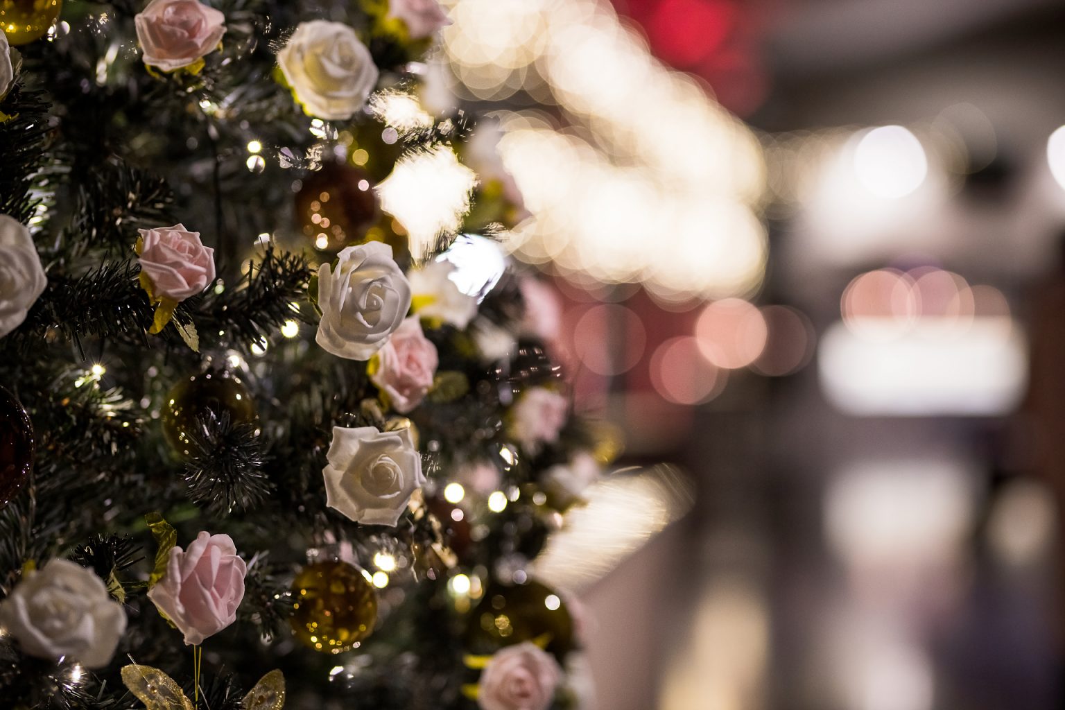 Arbre de Noël avec roses, photographie fête de fin d'année, Aurore Delsoir photographe