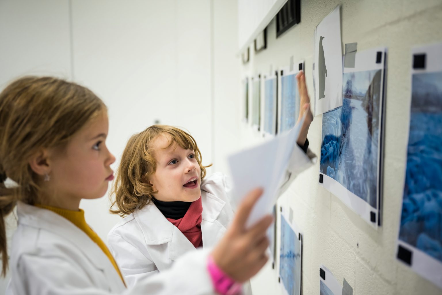 Atelier ludique sur les animaux et leur environnement, Ateliers scientifiques de l'UDEC au Biopark deCharleroi, Aurore Delsoir photographe corporate