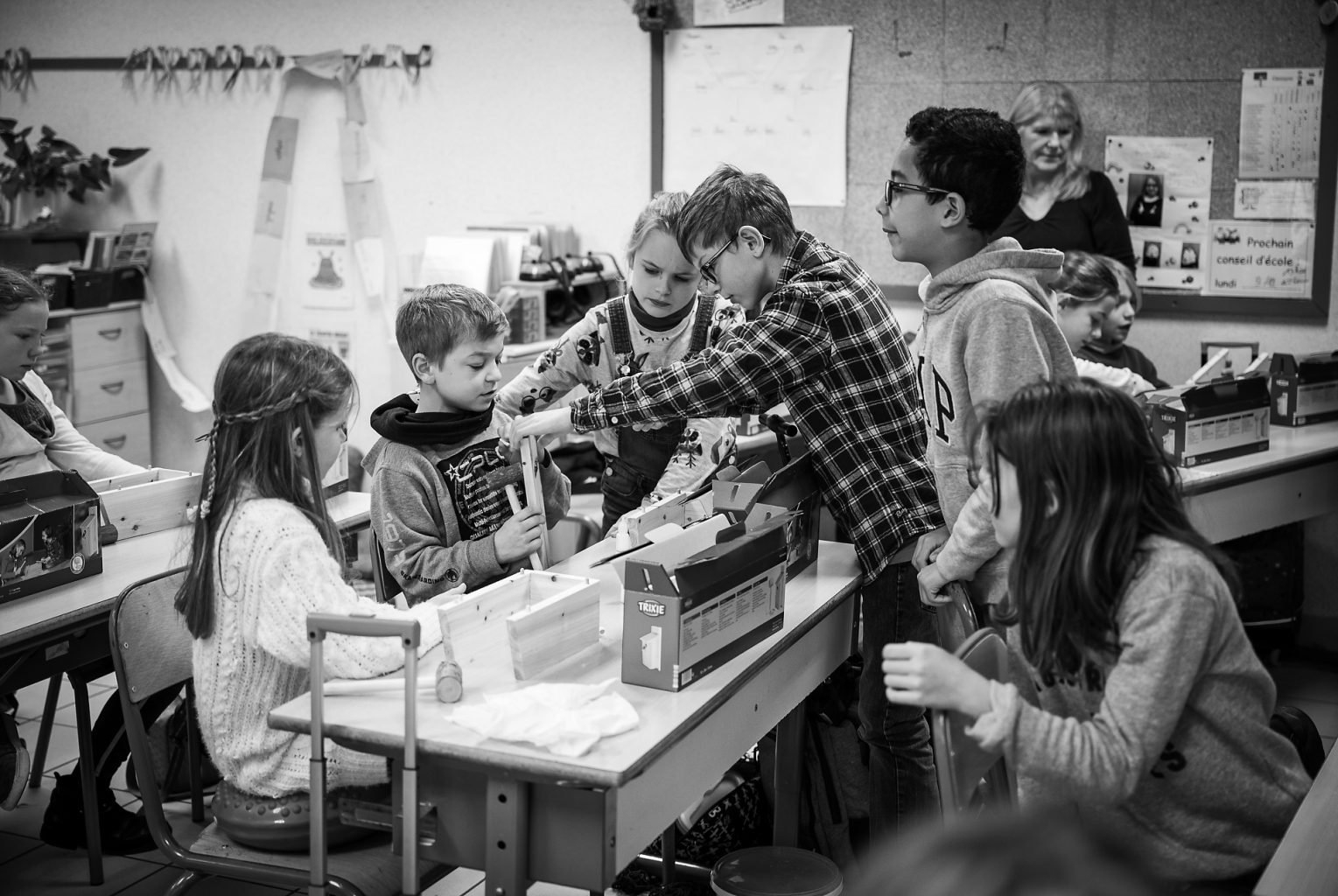 Toute la classe participe, Atelier Nichoir donné par Bruno Marchal, Aurore Delsoir Photographie