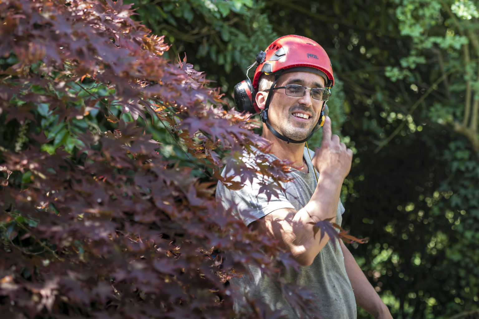 Portrait de Nico l'arboriste, arboristepar Aurore Delsoir photographe d'entreprise