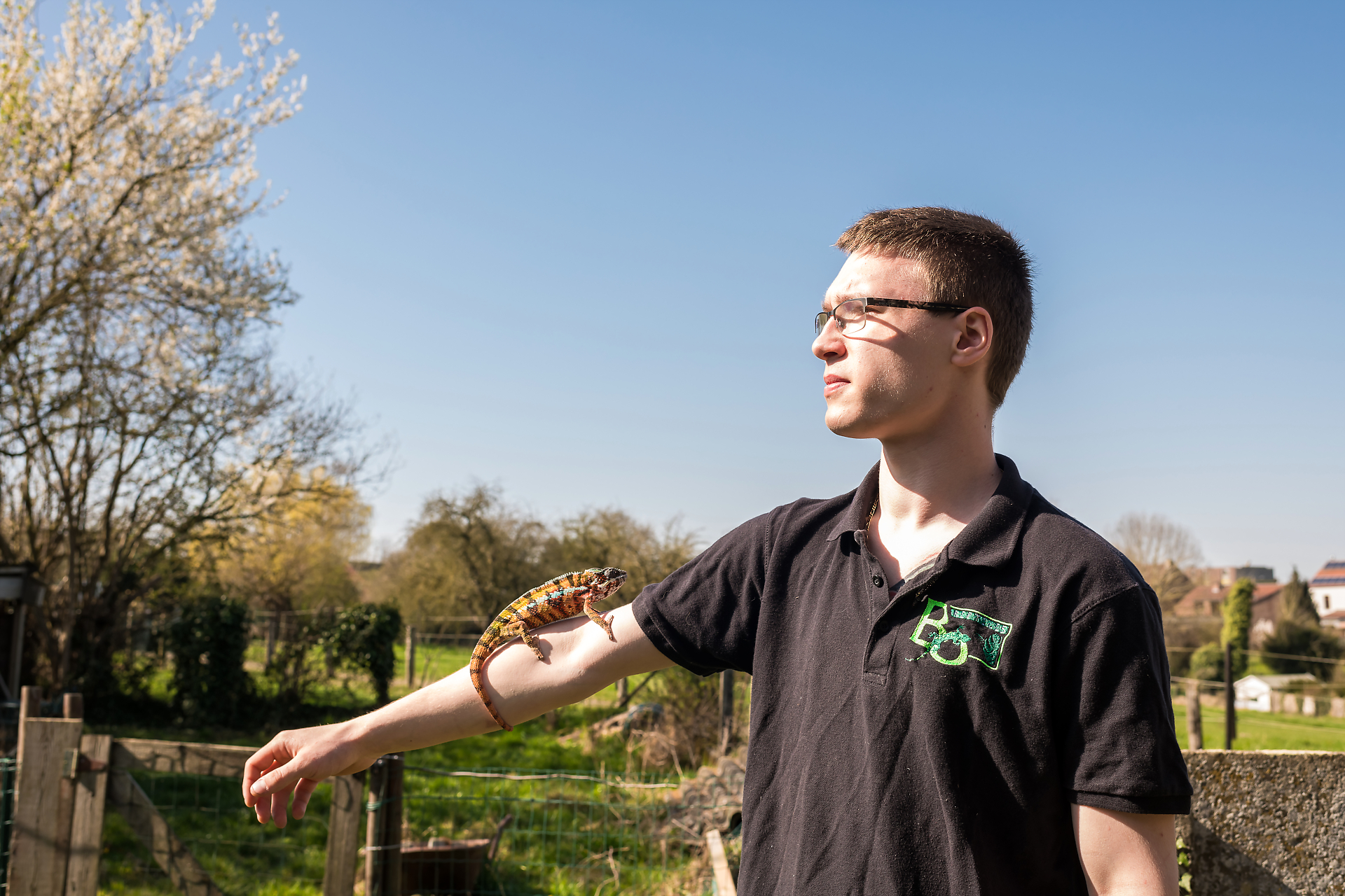 Boris Levecq, BO Reptiles et un de ses caméléons