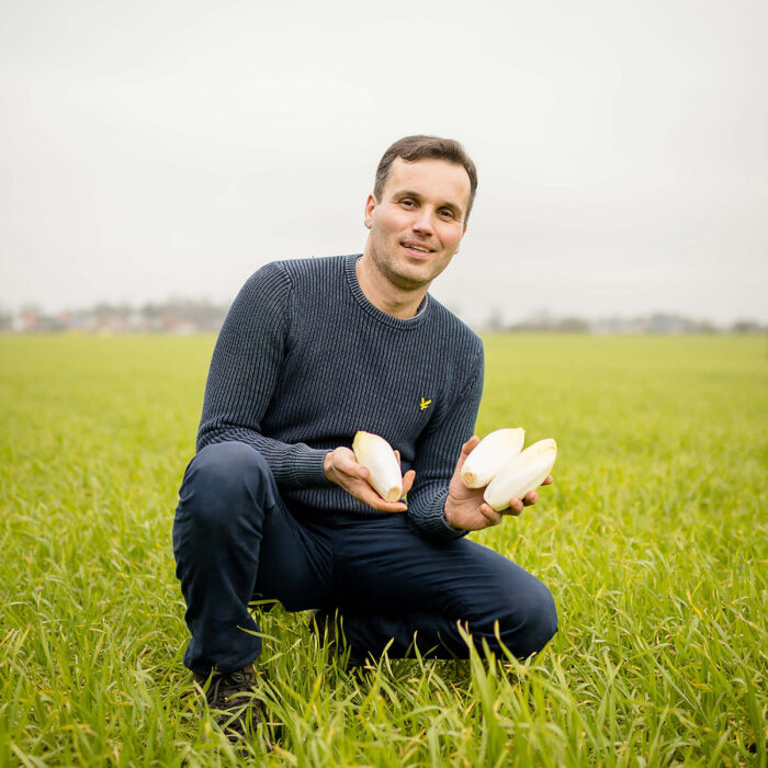 Un monsieur dans un pré qui tient des chicons dans ses mains
